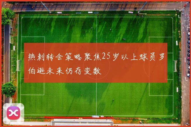 热刺转会策略聚焦25岁以上球员罗伯逊未来仍存变数