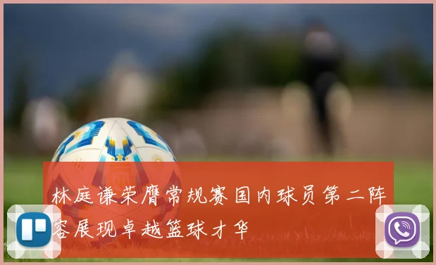 林庭谦荣膺常规赛国内球员第二阵容展现卓越篮球才华